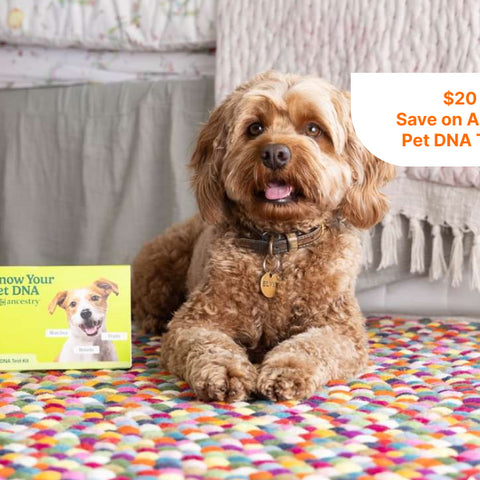 Know Your Pet DNA by Ancestry